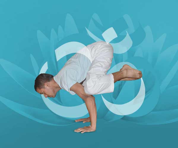 Himalayan  yogashala