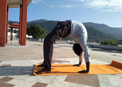 Yoga Vibes  Rishikesh